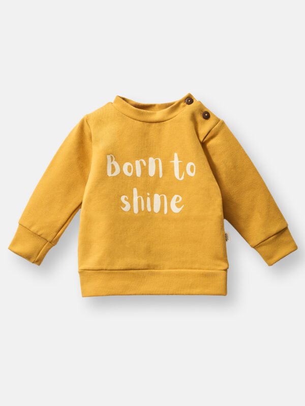 Buzo Shine